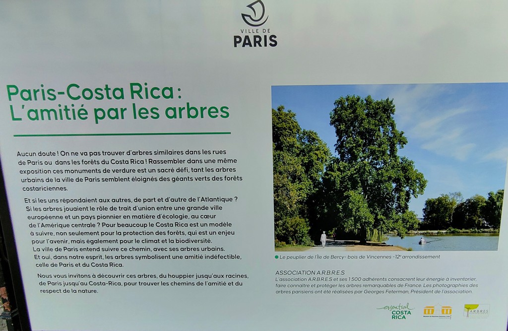 Paris Costa Rica : l'amitié par les arbres