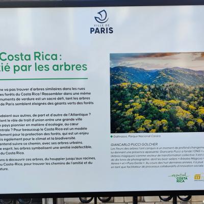Paris-Costa Rica : l'amitié par les arbres